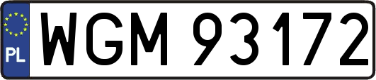 WGM93172