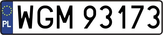 WGM93173