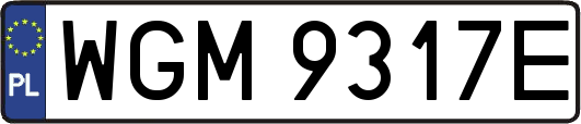 WGM9317E