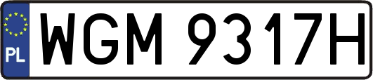 WGM9317H