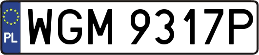 WGM9317P