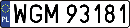 WGM93181