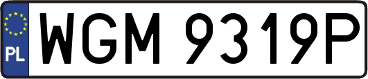 WGM9319P