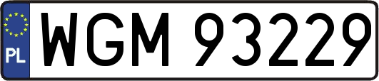 WGM93229