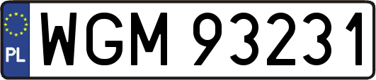 WGM93231