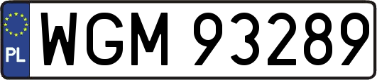 WGM93289