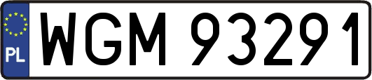 WGM93291