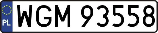 WGM93558