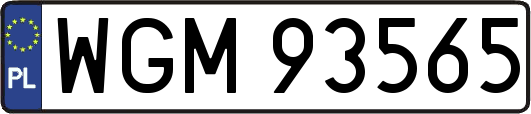WGM93565