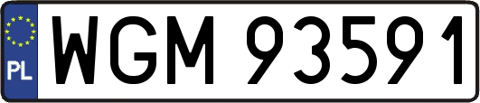 WGM93591