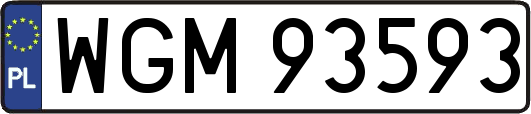 WGM93593