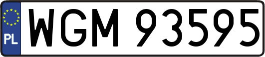 WGM93595