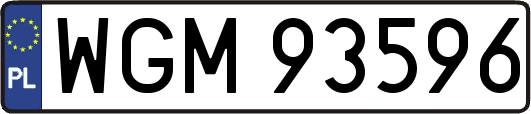 WGM93596