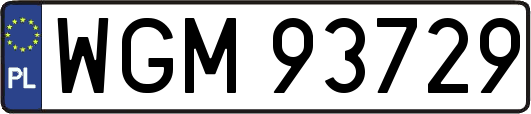 WGM93729