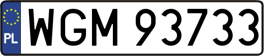 WGM93733