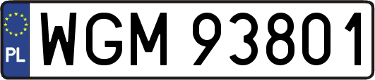 WGM93801