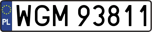 WGM93811