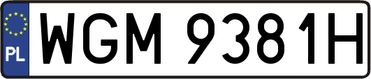 WGM9381H