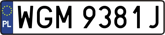 WGM9381J
