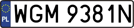WGM9381N