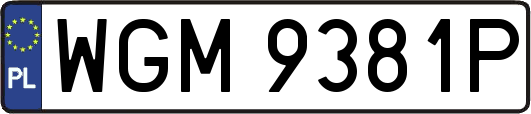 WGM9381P
