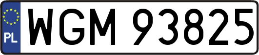 WGM93825