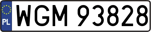 WGM93828