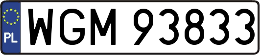 WGM93833