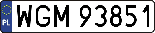 WGM93851