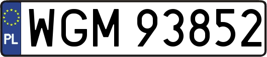 WGM93852