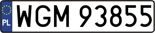 WGM93855