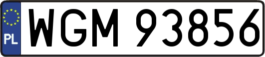 WGM93856