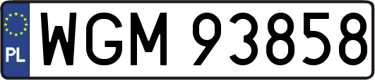 WGM93858