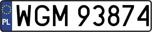 WGM93874