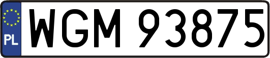 WGM93875