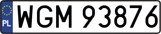 WGM93876