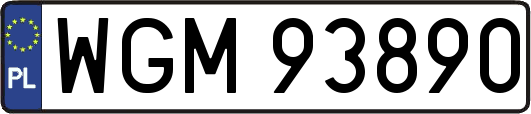 WGM93890