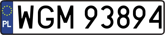 WGM93894