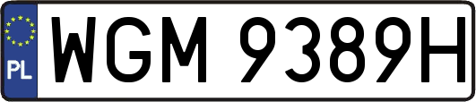 WGM9389H