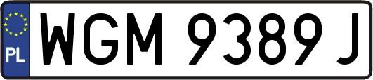 WGM9389J