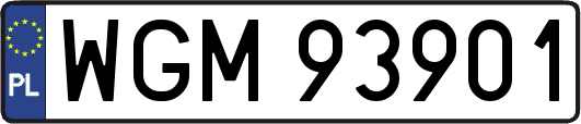 WGM93901