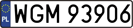 WGM93906