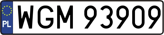 WGM93909