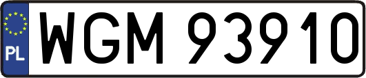 WGM93910