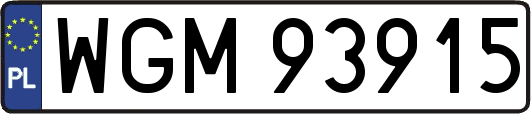 WGM93915