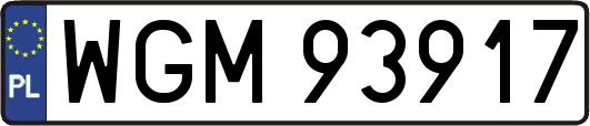 WGM93917