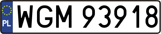 WGM93918