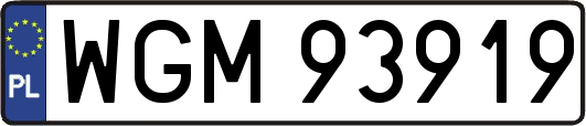 WGM93919