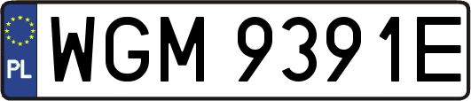 WGM9391E