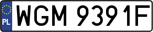 WGM9391F